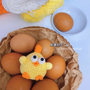 Móc khoá len Gà vàng DunDun 🐥